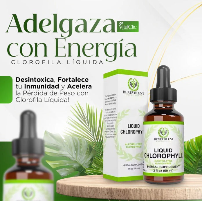 CloreVita Transforma tu salud hoy mismo